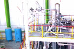 sulphonation plant manufacturer and supplier